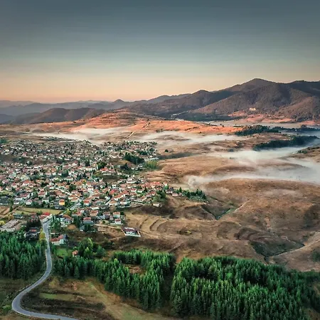 Boryka Family Asikoria