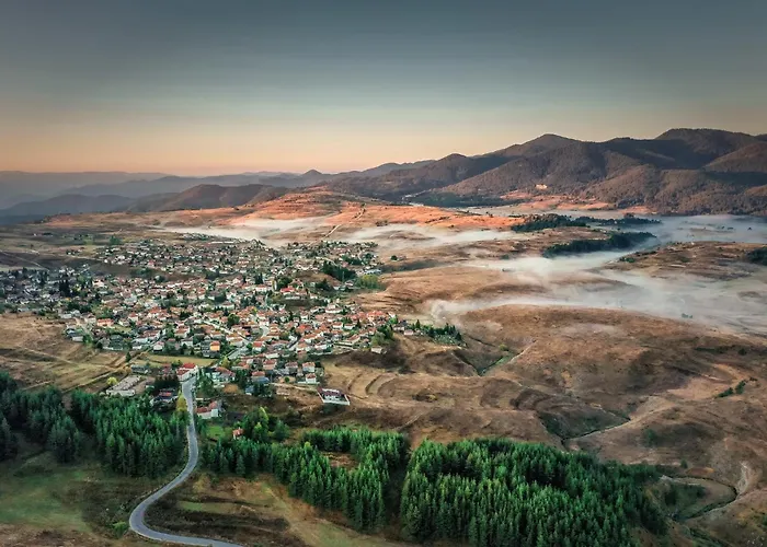 Boryka Family Asikoria