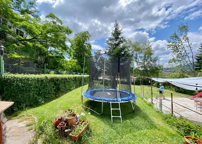 Boryka Family Asikoria