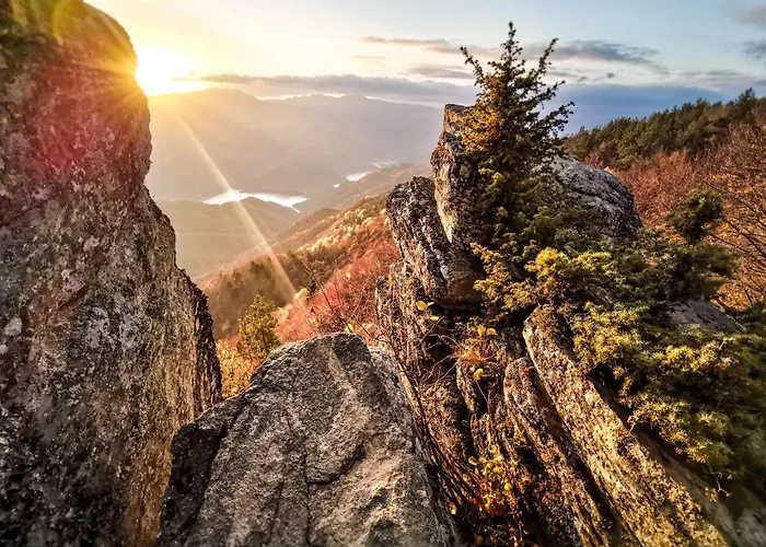 ホテル Boryka Family 3*