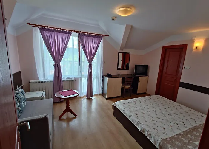 ホテル Boryka Family 3*