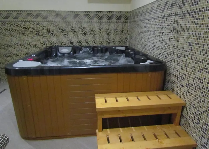 ホテル Boryka Family 3*