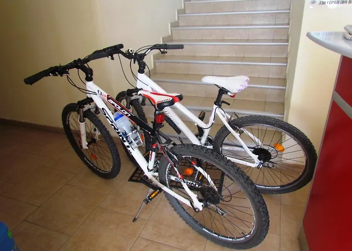 Boryka Family Asikoria